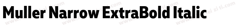 Muller Narrow ExtraBold Italic字体转换